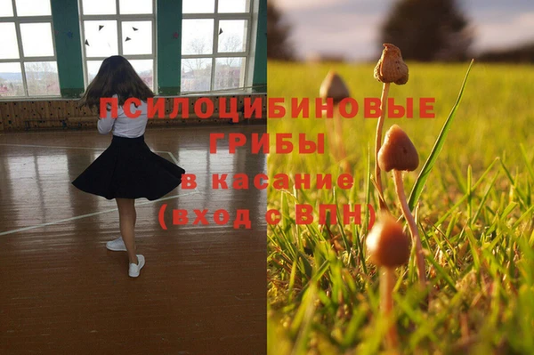 ГАЛЛЮЦИНОГЕННЫЕ ГРИБЫ Новодвинск