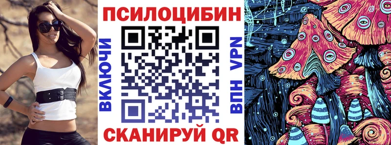 Галлюциногенные грибы Psilocybe Мичуринск